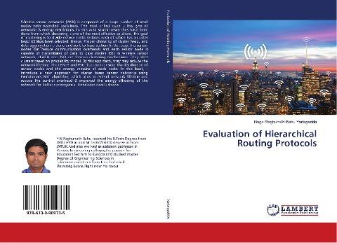 Evaluation of Hierarchical Routing Protocols