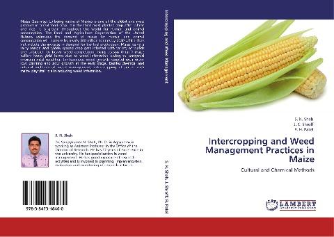 Intercropping and Weed Management Practices in Maize