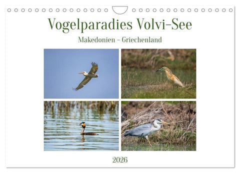 Vogelparadies Volvi-See (Wandkalender 2026 DIN A4 quer), CALVENDO Monatskalender