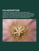 Falkenartige