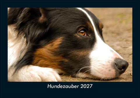 Hundezauber 2027 Fotokalender DIN A5