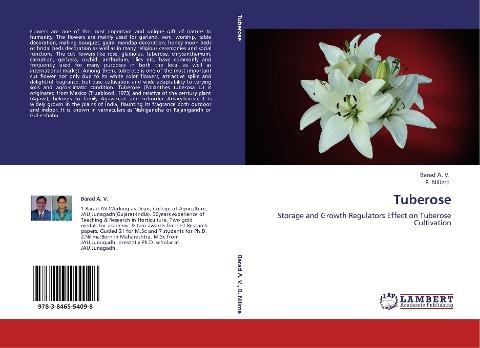 Tuberose