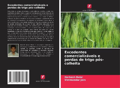 Excedentes comercializáveis e perdas de trigo pós-colheita