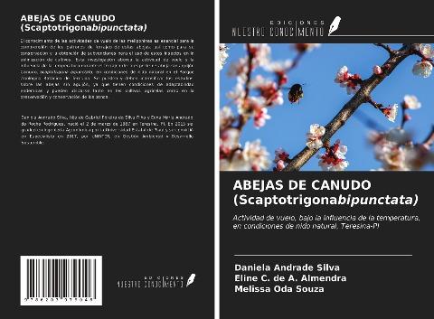 ABEJAS DE CANUDO (Scaptotrigonabipunctata)