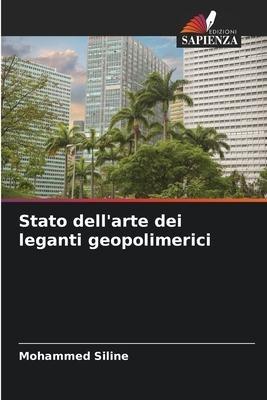 Stato dell'arte dei leganti geopolimerici