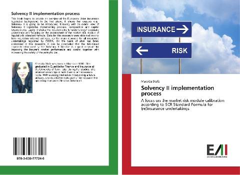 Solvency II implementation process