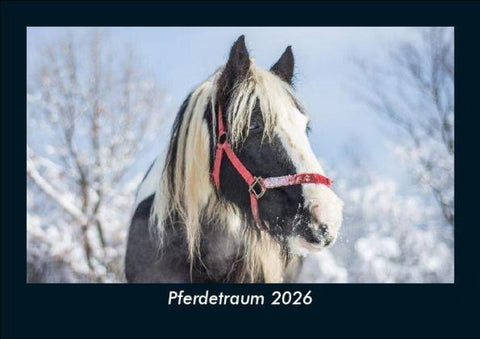 Pferdetraum 2026 Fotokalender DIN A5