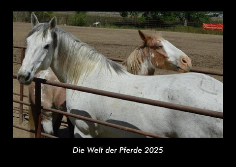 Die Welt der Pferde 2025 Fotokalender DIN A3