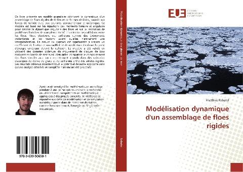 Modélisation dynamique d'un assemblage de floes rigides