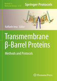 Transmembrane β-Barrel Proteins