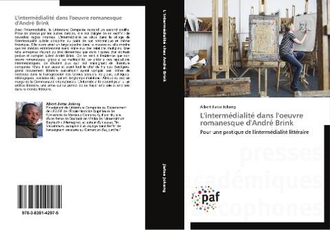 L'intermédialité dans l'oeuvre romanesque d'André Brink