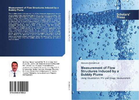 Measurement of Flow Structures Induced by a Bubbly Plume