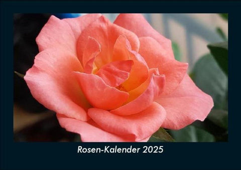 Rosen-Kalender 2025 Fotokalender DIN A5