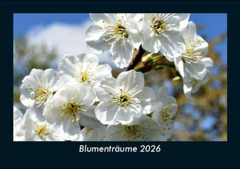 Blumenträume 2026 Fotokalender DIN A5