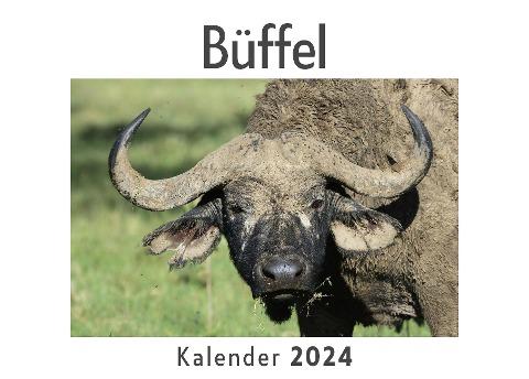 Büffel  (Wandkalender 2024, Kalender DIN A4 quer, Monatskalender im Querformat mit Kalendarium, Das perfekte Geschenk)