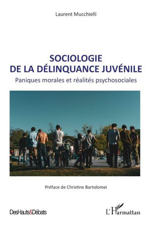Sociologie de la délinquance juvénile