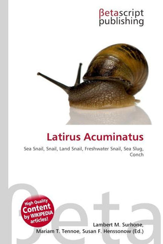 Latirus Acuminatus