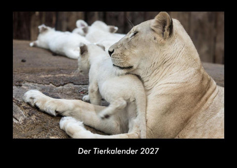 Der Tierkalender 2027 Fotokalender DIN A3