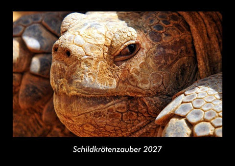 Schildkrötenzauber 2027 Fotokalender DIN A3