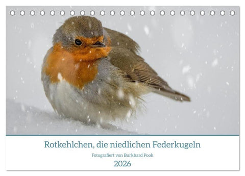 Rotkehlchen, die niedlichen Federkugeln (Tischkalender 2026 DIN A5 quer), CALVENDO Monatskalender