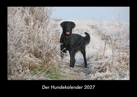 Der Hundekalender 2027 Fotokalender DIN A3