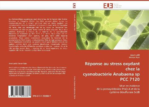Réponse au stress oxydant chez la cyanobactérie Anabaena sp PCC 7120