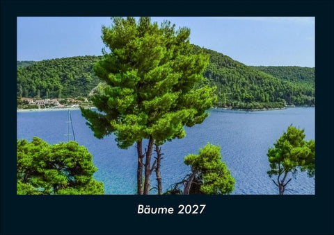 Bäume 2027 Fotokalender DIN A4