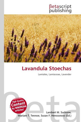 Lavandula Stoechas