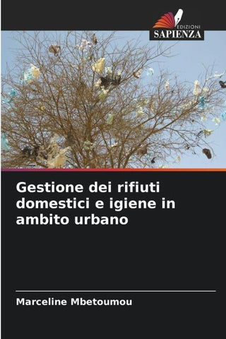 Gestione dei rifiuti domestici e igiene in ambito urbano