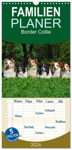 Familienplaner 2026 - Border Collie 2026 mit 5 Spalten (Wandkalender, 21 x 45 cm) CALVENDO