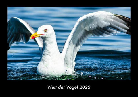 Welt der Vögel 2025 Fotokalender DIN A3