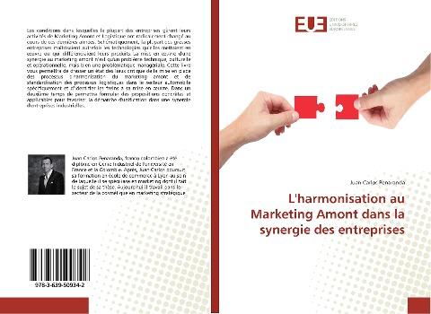 L'harmonisation au Marketing Amont dans la synergie des entreprises