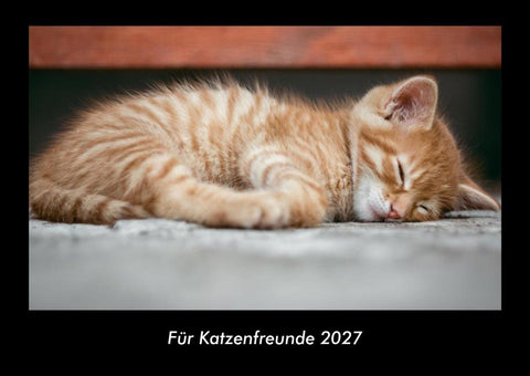 Für Katzenfreunde 2027 Fotokalender DIN A3