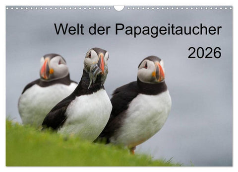 Welt der Papageitaucher (Wandkalender 2026 DIN A3 quer), CALVENDO Monatskalender