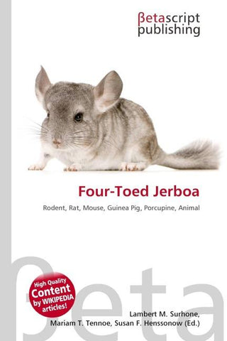 Four-Toed Jerboa