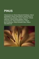 Pinus