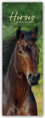 Horses – Pferde – Slimline-Kalender 2027