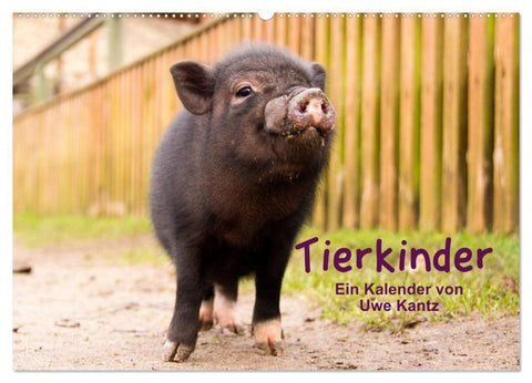 Tierkinder (Wandkalender 2026 DIN A2 quer), CALVENDO Monatskalender
