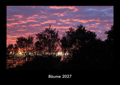 Bäume 2027 Fotokalender DIN A3