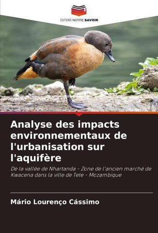 Analyse des impacts environnementaux de l'urbanisation sur l'aquifère