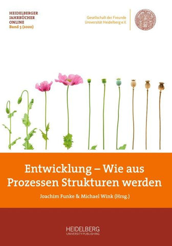 Entwicklung – Wie aus Prozessen Strukturen werden