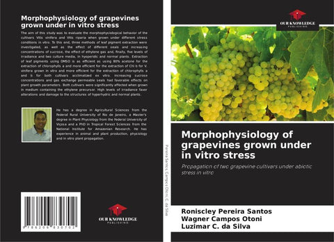 Morphophysiology of grapevines grown under in vitro stress