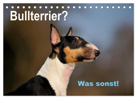 Bullterrier? Was sonst! (Tischkalender 2026 DIN A5 quer), CALVENDO Monatskalender