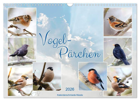 Vogel-Pärchen (Wandkalender 2026 DIN A3 quer), CALVENDO Monatskalender