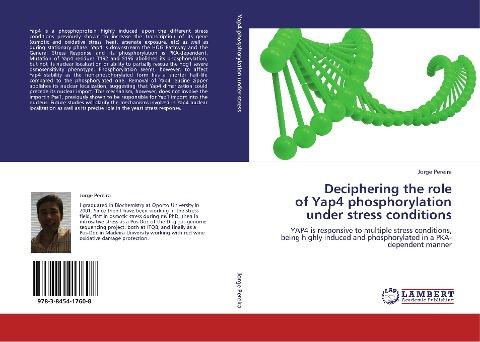 Deciphering the role of Yap4 phosphorylation under stress conditions