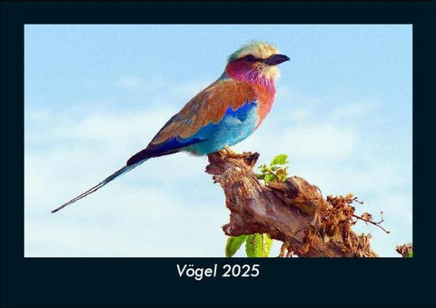 Vögel 2025 Fotokalender DIN A5