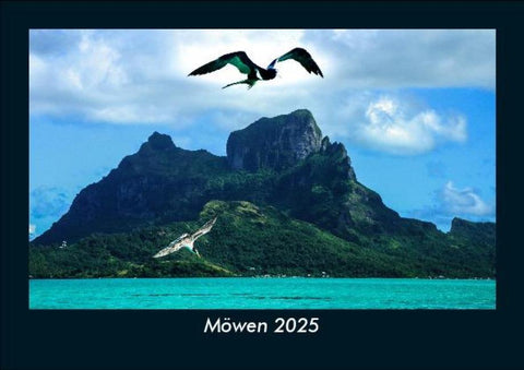 Möwen 2025 Fotokalender DIN A5
