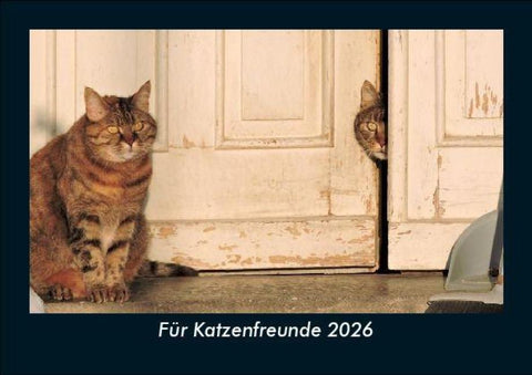 Für Katzenfreunde 2026 Fotokalender DIN A5