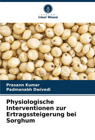 Physiologische Interventionen zur Ertragssteigerung bei Sorghum