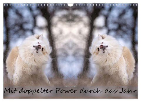Mit doppelter Power durch das Jahr (Wandkalender 2026 DIN A3 quer), CALVENDO Monatskalender